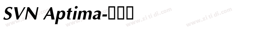 SVN Aptima字体转换